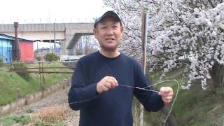 ストレートキャッチの解説