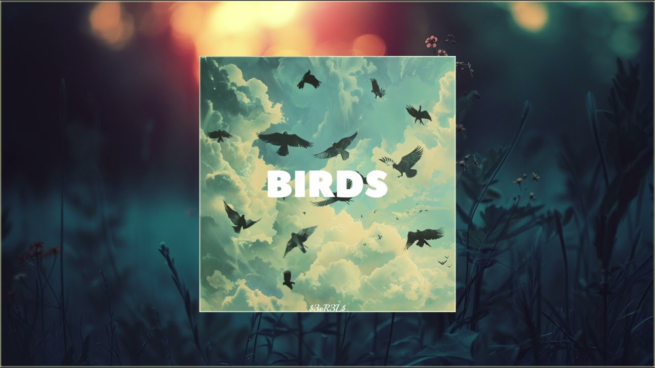 BIRDS | FREE FOR NON PROFIT | SEVRELS