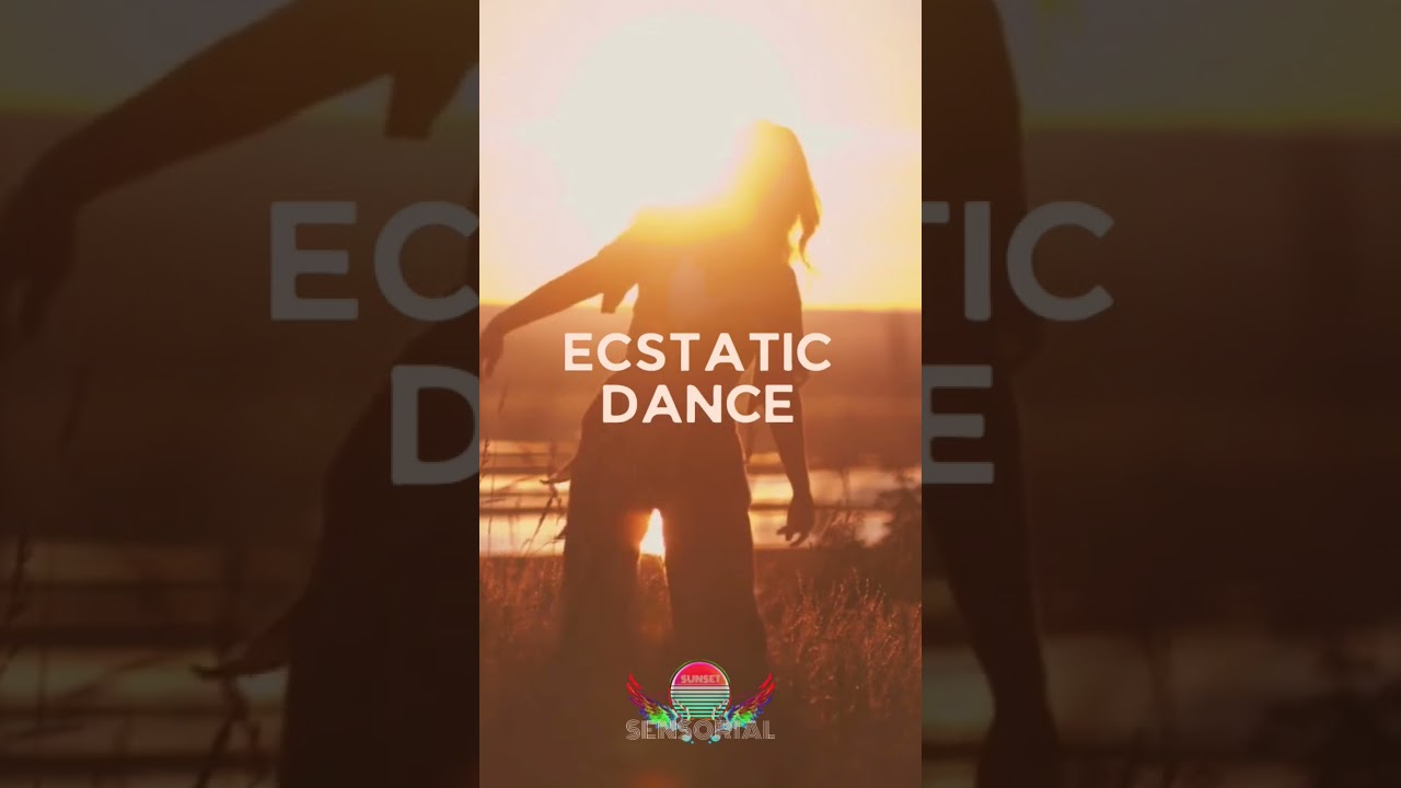 mini festival ...infos insta @sunsetsensorial 