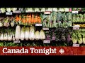 Western sanctions on russia backfired says economist  canada tonight