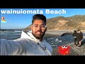 Wainuiomata beach lower hutt new zealand  pb33 ale vlogs 