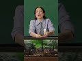 AD | How to Build a Beaver Dam | Hoppers is now playing in theaters 🍿 | @natgeokids
