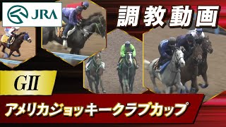 【調教動画】2026年 アメリカジョッキークラブカップ｜JRA公式