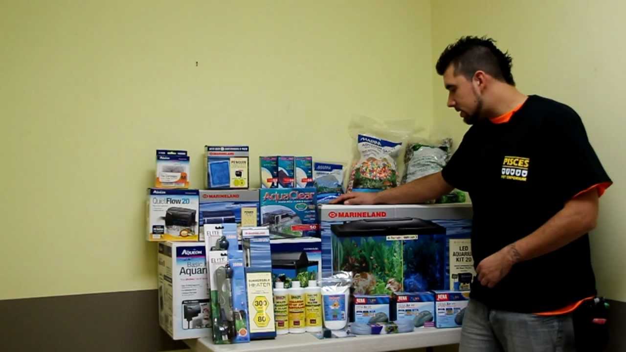 Basic Aquarium Set Up YouTube