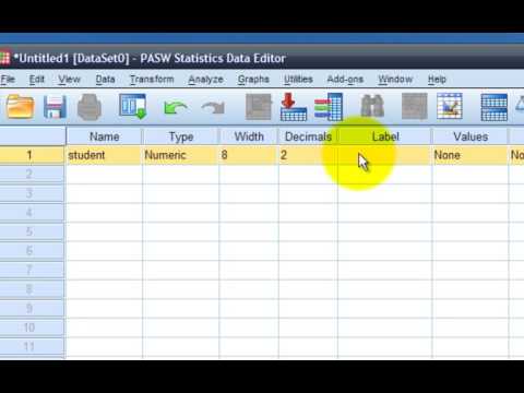 tutorial 001 Intro to spss - YouTube