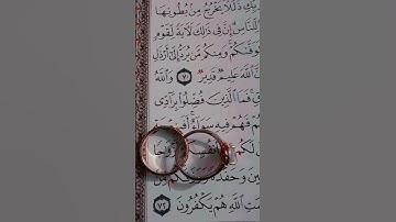 والله جعل لكم من أنفسكم ازواجا💍💫سورة النحل💫حالات واتس اب دينية قصيرة💫