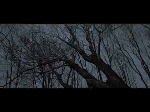 The Road (2009) second trailer