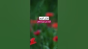 قرأن كريم ، أيات من سورة فاطر