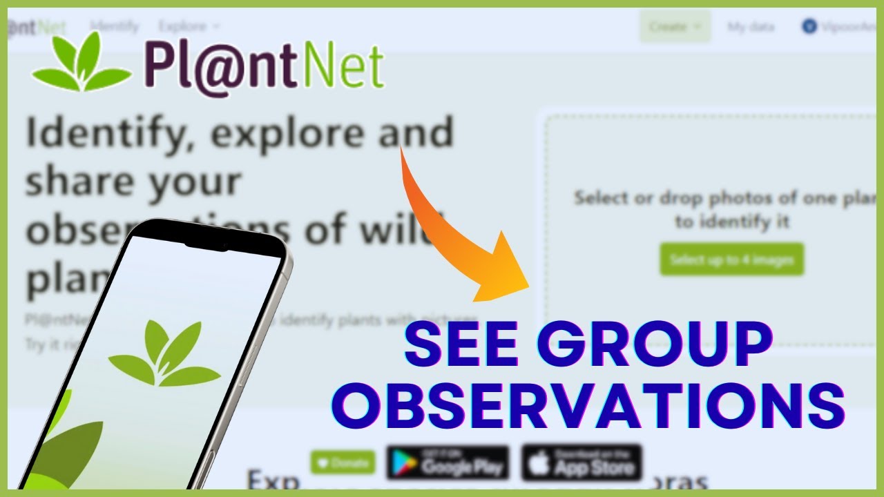 Как просмотреть групповые наблюдения в Plant Net 2026?