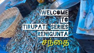 Tirupati Series Renigunta சநத Enjoy The Video Tirupati Travel Vlog