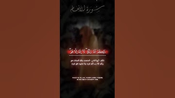 تلاوة خاشعة من سورة الأنعام | الشيخ عمير شميم #quran #عمير_شميم #umairshamim