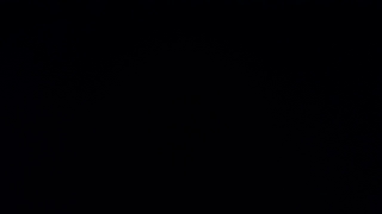 Н. Рубинштейн. 