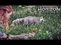 Horizon Zero Dawn Ресурсы для прокачки Подсумков и Колчанов