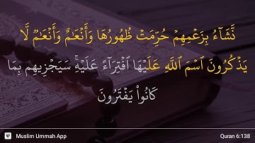 سوره انعام، آیه ۱۳۸