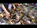  10         best 4 seafood dishes in korea  korean street food