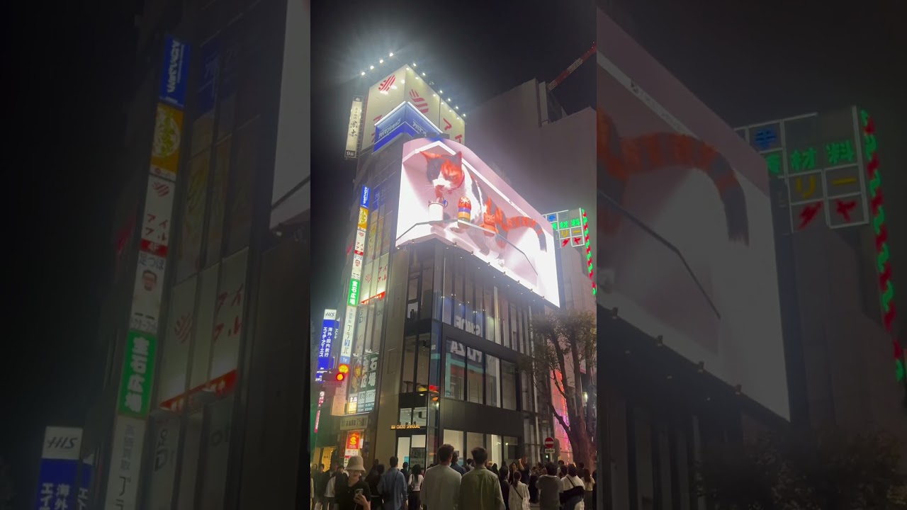 famous 3D monitor in shinjuku japan 