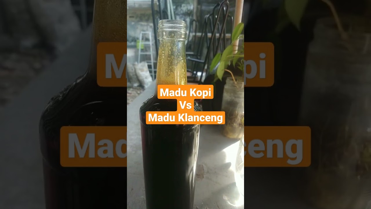 perbedaan madu kopi dan madu klanceng