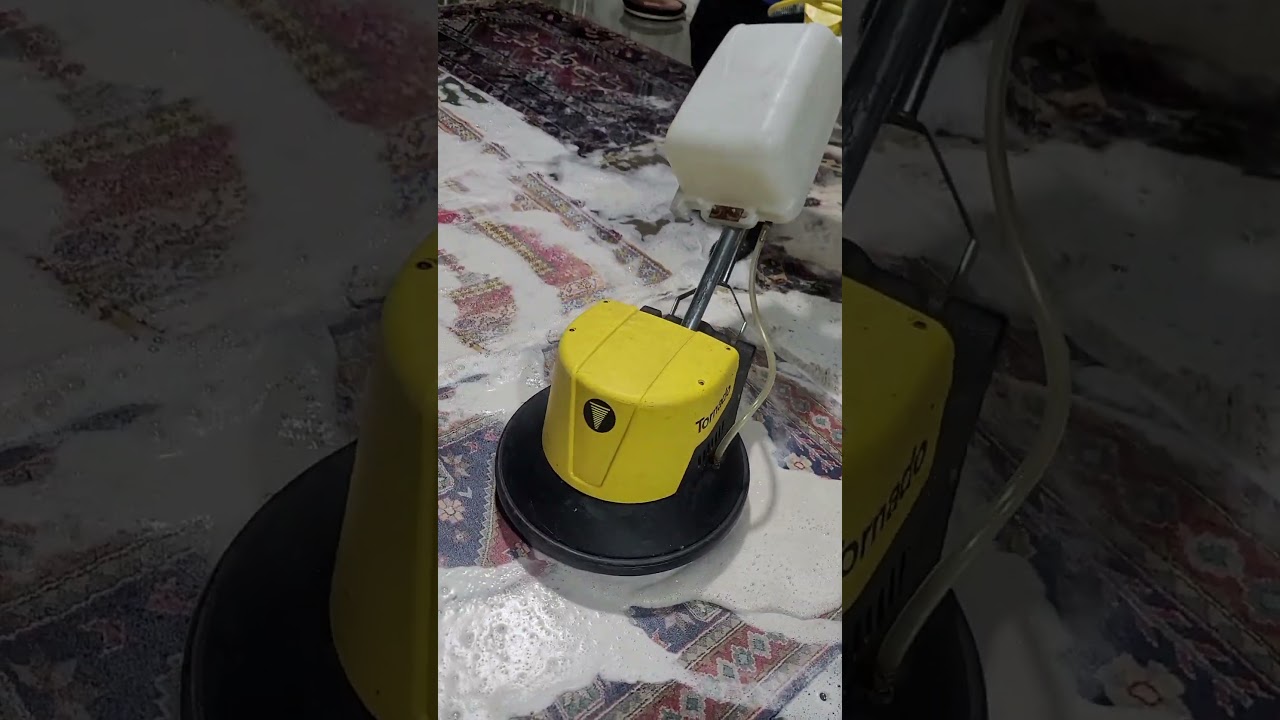 How to Clean an Oriental Rug: Quick & Easy | Oriental rug washing