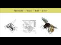 Inkscape Instructional: Quick Bitmap Trace and Basic Keyboard Shortcuts