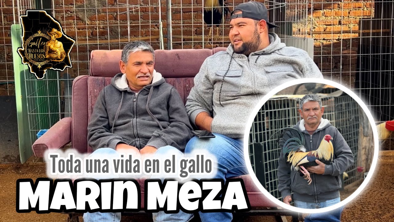 Marin Meza - de los caballos a los gallos 