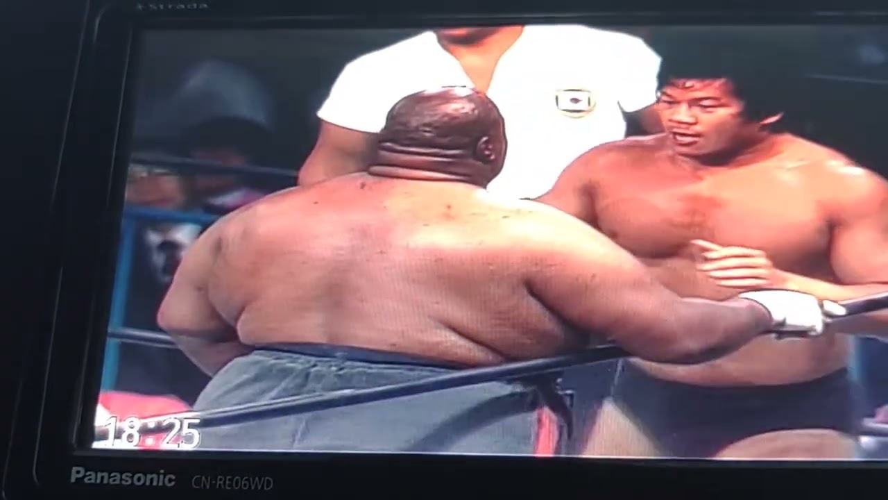 藤波 vs  ブッチャー