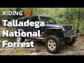 Jeep JK, Jeep JL and a random Tacoma ride Talladega National Forrest, AL | 621, 617, and 600-2