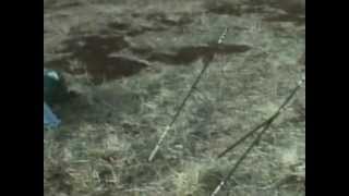 Himitsu Sentai Goranger Episodio 01 Sub-Español