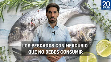 ¿Cuánto pescado es demasiado mercurio?