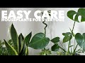 Minimal Houseplant Collection | Easy Care Houseplants