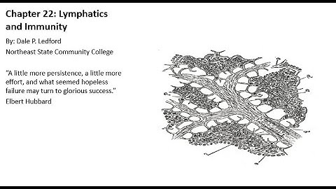 Human Anatomy and Physiology 2 Chapter 22 Part 2