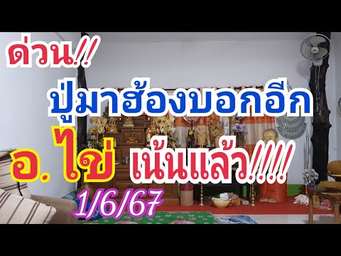 ปู่มาฮ้องบอกอีก อ.ไข่ เน้นเลย!!!!!! 1 มิ.ย.67