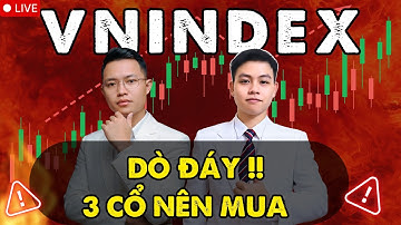 Dò Đáy Thị Trường: Gợi Ý 3 Cổ Phiếu Tăng Trưởng Mạnh