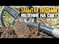 Коп монет 2021. Заброшенные места. Поиск золота.