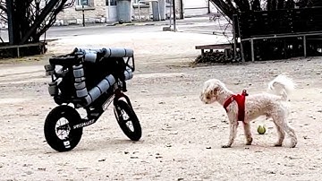 A BICYCLE ROBOT JUMPS AND CLIMBS TABLES