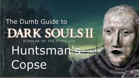 The Dumb Guide to Huntsman