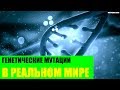 Генетические мутации которые встречаются в реальном Мире