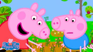 Kertészkedés Malac Nagypapával Peppa Malac Rajzfilmek Gyerekeknek