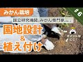 【みかん栽培】#6 園地設計と植え付け