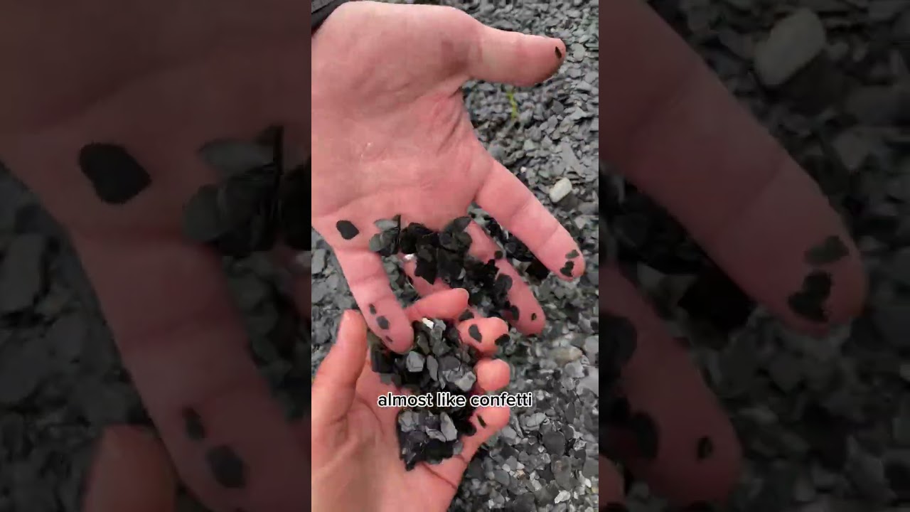 How to Hike Caines Head Seward Alaska (Resurrection Bay)