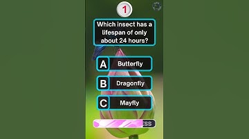 General Knowledge Trivia Quiz 🧠| Animal Edition🦁✅