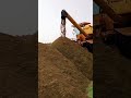 chawal ki fasal a harvest unloading zabardast performance