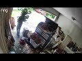 ‘Walking houseplant’ looks right at security camera after being accused of stealing car