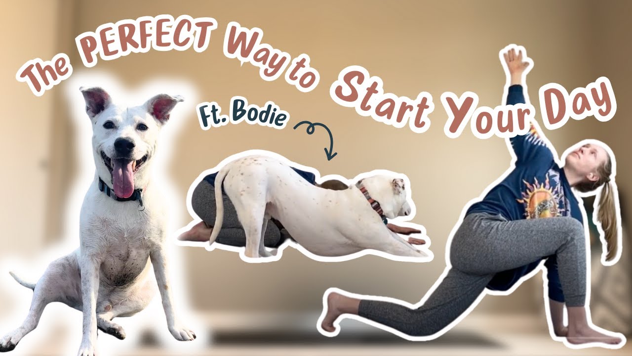 The Perfect Gentle Morning Yoga Flow | 40 Min. Ad Free Yoga