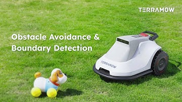 Demo - Obstacle Avoidance & Boundary Detection