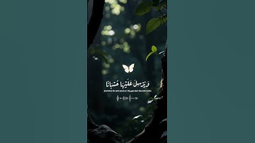 من سورة الكهف اتمنى تعجبكم التلاوة ❤️ #quran #اكسبلور #قرآن #قران_كريم #اكسبلور