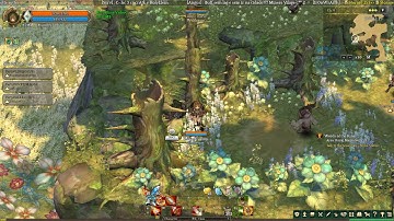 Collection Guide: Gele Plateau - Klaipeda