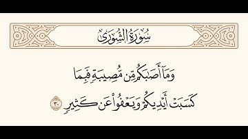 سورة الشورى الآية 30