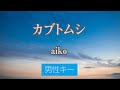 【男性キー(-5)】カブトムシ - aiko【カラオケ・オフボーカル】