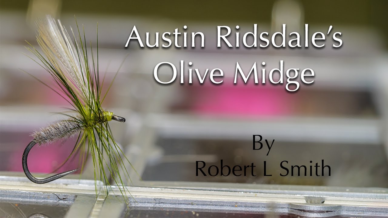 Austin Ridsdale's Olive Midge