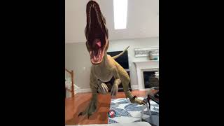 Dino:raptor